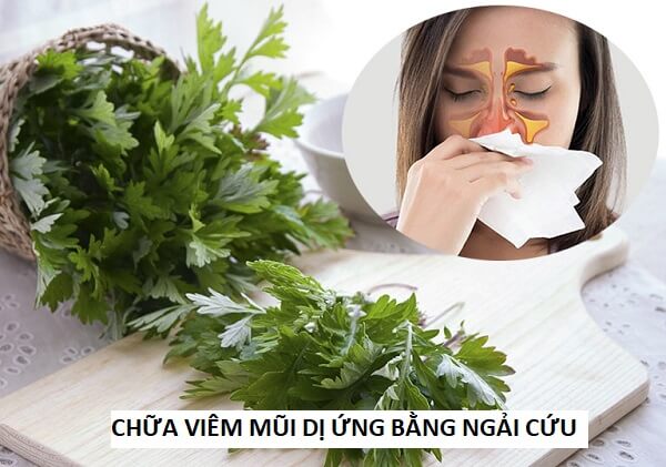 Các loại cây dược liệu truyền thống hỗ trợ sức khỏe đường hô hấp