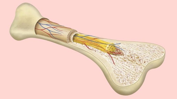 Bổ sung vitamin K đúng cách, an toàn