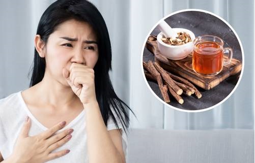 Công dụng cam thảo và quế đối với các bệnh tai mũi họng