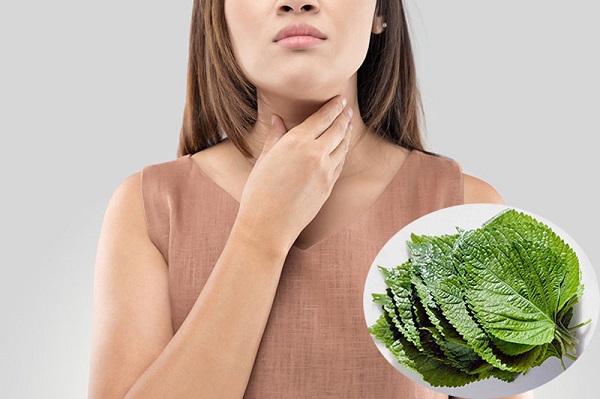 trà thảo mộc, phương pháp tự nhiên hỗ trợ viêm amidan