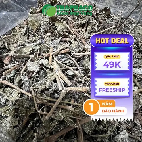 Công dụng của Chè Dây Tấn Phát cho sức khỏe tiêu hóa