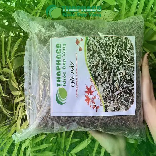 Người dùng trải nghiệm lợi ích sức khỏe từ Chè Dây Tấn Phát