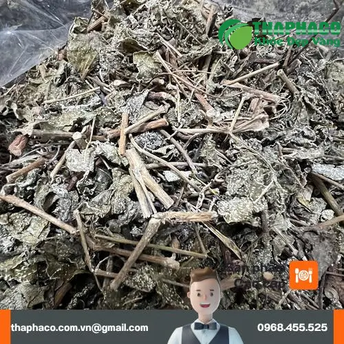 Chè Dây Tấn Phát với ưu đãi hấp dẫn - Mua 3kg Freeship