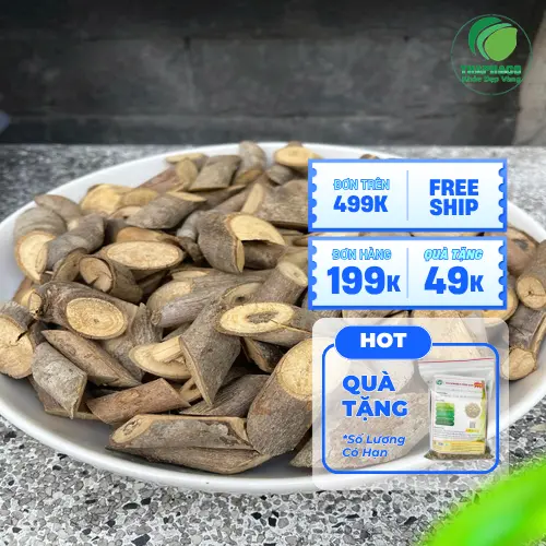 Cây An Xoa tự nhiên, thảo dược hữu cơ Dược Liệu Tấn Phát