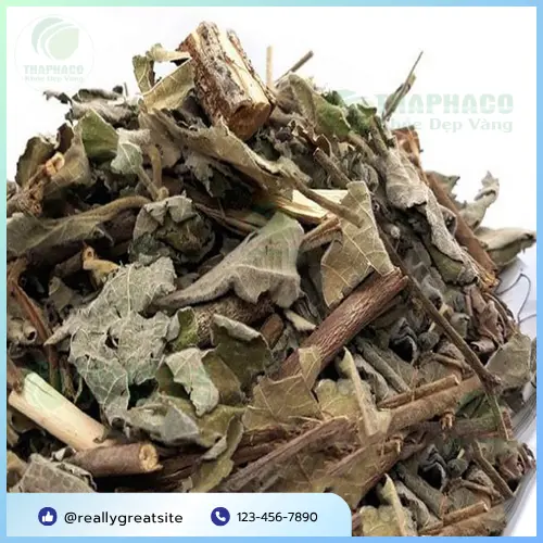 An Xoa khô đã được sơ chế sạch sẽ tại Dược Liệu Tấn Phát