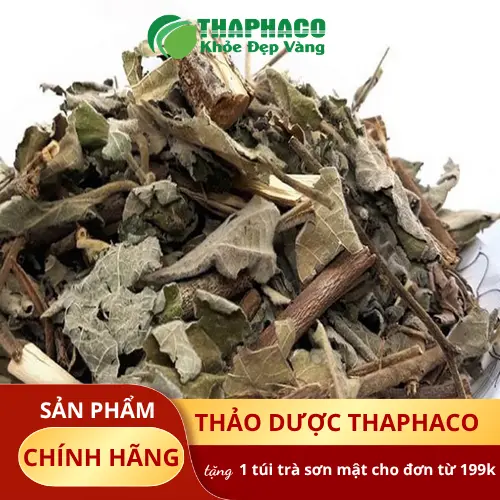 Lợi ích sức khỏe của cây An Xoa tự nhiên