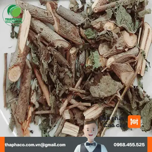 Lưu ý khi sử dụng An Xoa để đạt hiệu quả tốt nhất