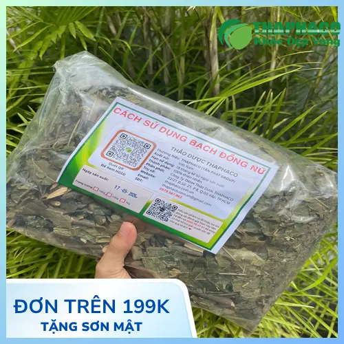 Cây Bạch Đồng Nữ - Giải pháp cho viêm da cơ địa