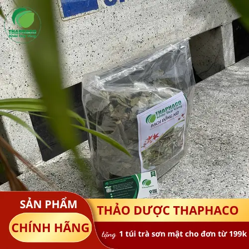 Bạch đồng nữ - Thảo dược hữu cơ hỗ trợ trị mụn nhọt và rôm sảy