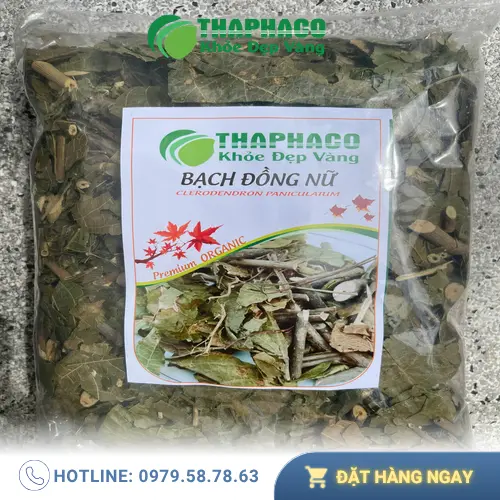 Địa chỉ cung cấp sỉ lẻ bạch đồng nữ khô giá tốt TP.HCM