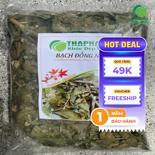 Quá trình hãm trà Bạch Đồng Nữ trong ấm thủy tinh, nước sôi