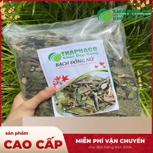 Hình ảnh bạch đồng nữ khô đang được pha thành trà thảo dược