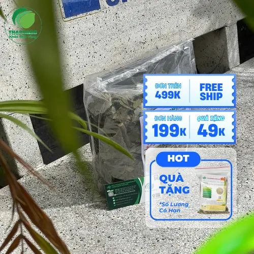 Cách dùng Bạch Đồng Nữ hiệu quả cho da