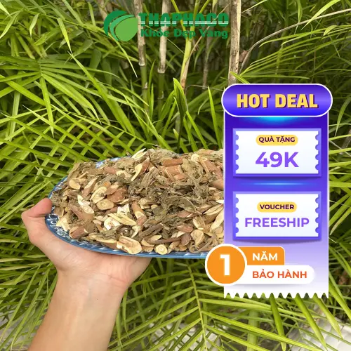 Lá bạch đồng nữ tươi dùng để đắp ngoài da trị mụn nhọt