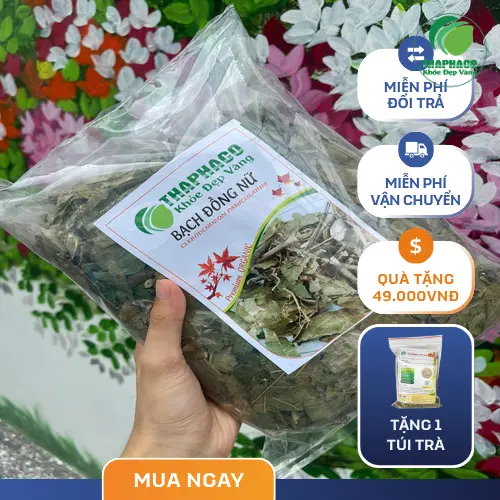 Sản phẩm bạch đồng nữ chất lượng cao tại Dược Liệu Tấn Phát