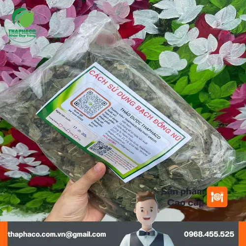 Sản phẩm bạch đồng nữ khô được đóng gói chuyên nghiệp tại Dược Liệu Tấn Phát, sẵn sàng giao đến khách hàng