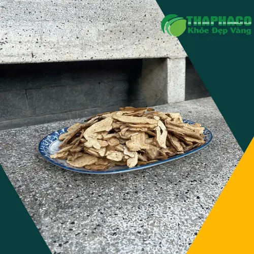 Bạch truật sấy khô chất lượng cao tại Dược Liệu Tấn Phát