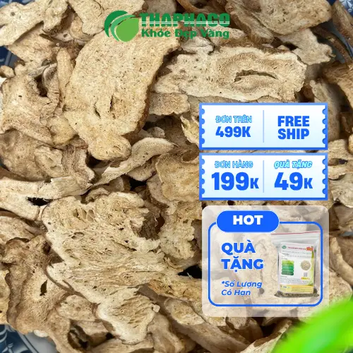 Hình ảnh Bạch truật khô cao cấp tại Dược Liệu Tấn Phát