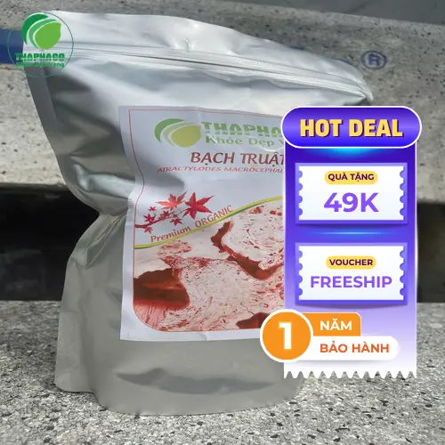 Củ bạch truật nguyên bản và rễ