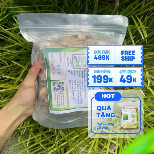 Bạch truật khô - Thảo dược hữu cơ Dược Liệu Tấn Phát