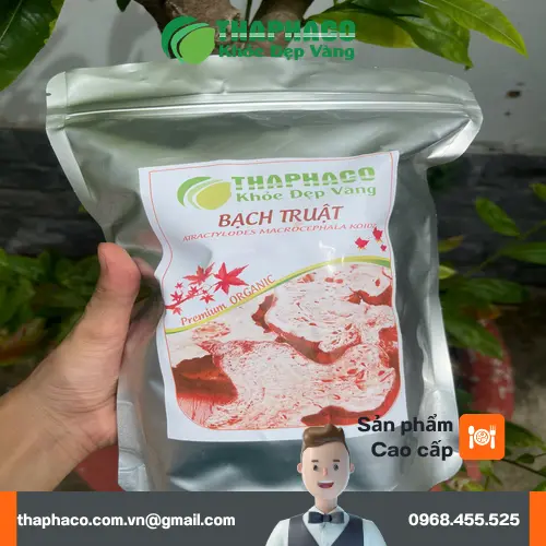 Quy trình sấy khô bạch truật hiện đại tại Tấn Phát