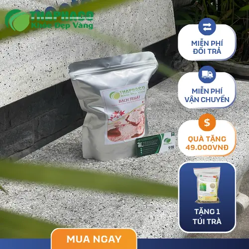 Bạch truật sấy khô chất lượng cao