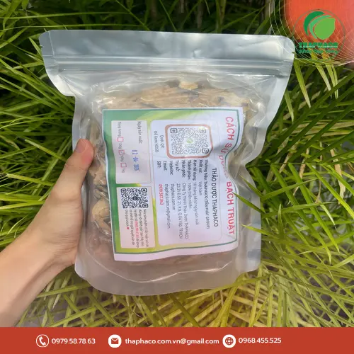 Bạch truật sấy khô thái lát - chuẩn bị cho việc sắc thuốc
