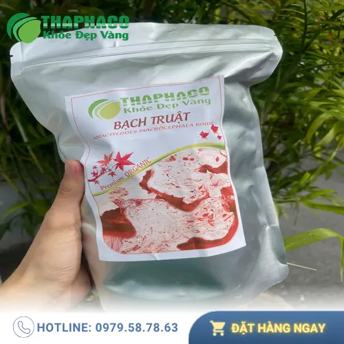 Thảo mộc khô bạch truật - Giải pháp dinh dưỡng tự nhiên