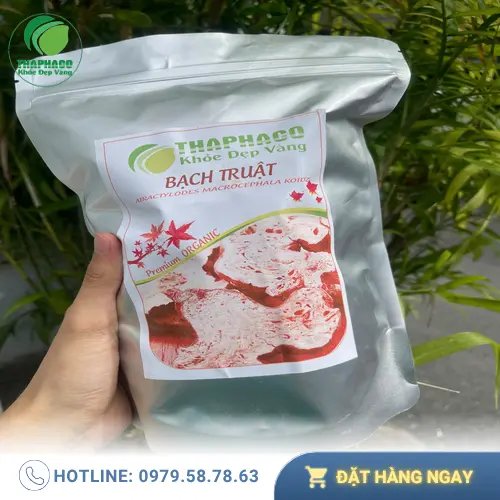 Dược Liệu Tấn Phát - Địa chỉ uy tín mua bạch truật tại TP.HCM