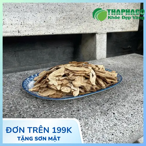 Bạch truật chất lượng cao của Dược Liệu Tấn Phát