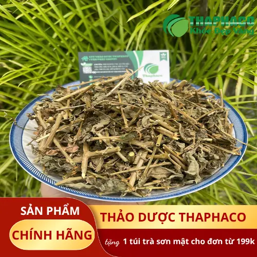 Cà gai leo sấy khô túi 1kg giá tốt tại TP.HCM
