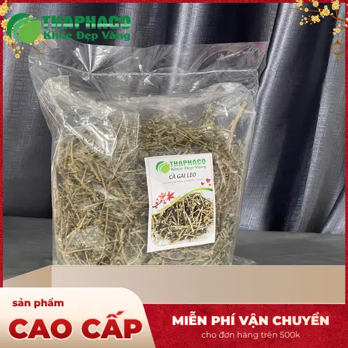 Hình ảnh cành cà gai leo khô chất lượng cao