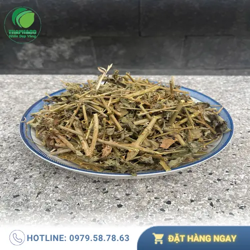 Hình ảnh lá cà gai leo khô đã được chọn lọc