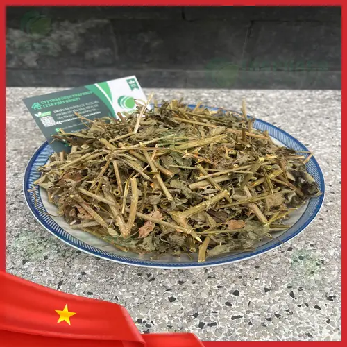 Hình ảnh sản phẩm cà gai leo đóng gói của Dược Liệu Tấn Phát