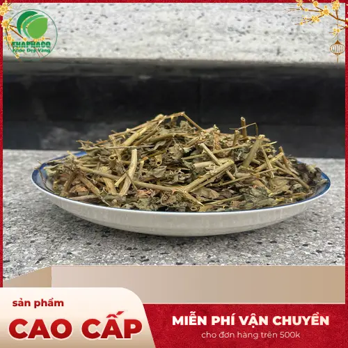 Hướng dẫn sử dụng cà gai leo sấy khô đúng cách