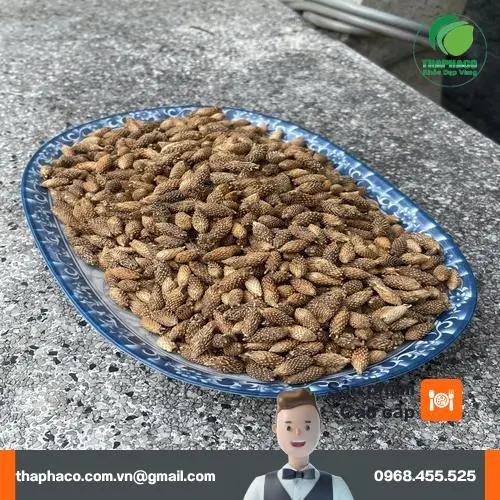Ké đầu ngựa khô cao cấp từ Dược Liệu Tấn Phát, dễ dùng và hiệu quả