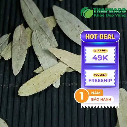 Phan tả diệp khô chất lượng cao từ Dược Liệu Tấn Phát