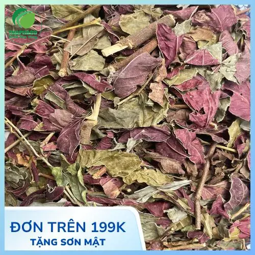 Lá đơn đỏ tươi – thảo dược hỗ trợ trị viêm da cơ địa