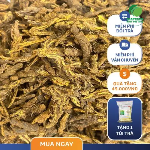 Hoàng liên khô chất lượng cao từ Dược Liệu Tấn Phát