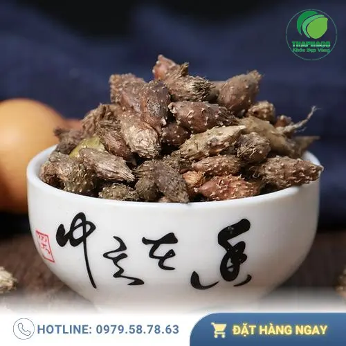 Quy trình kiểm tra chất lượng Ké Đầu Ngựa sấy khô tại Dược Liệu Tấn Phát