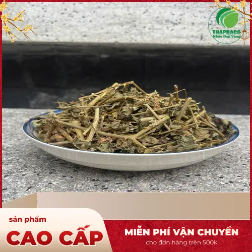 Cà Gai Leo đã phơi khô và được đóng gói