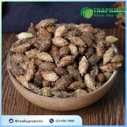 Sản phẩm Ké Đầu Ngựa sấy khô sau khi đóng gói tại Dược Liệu Tấn Phát
