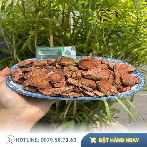 Hình ảnh minh họa bình rượu Kê Huyết Đằng