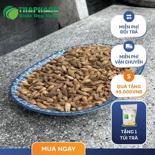 Ké đầu ngựa kết hợp thảo dược khác, bài thuốc chữa xoang hiệu quả