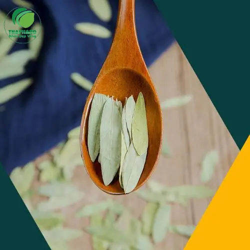 Trà phan tả diệp pha sẵn, thơm ngon