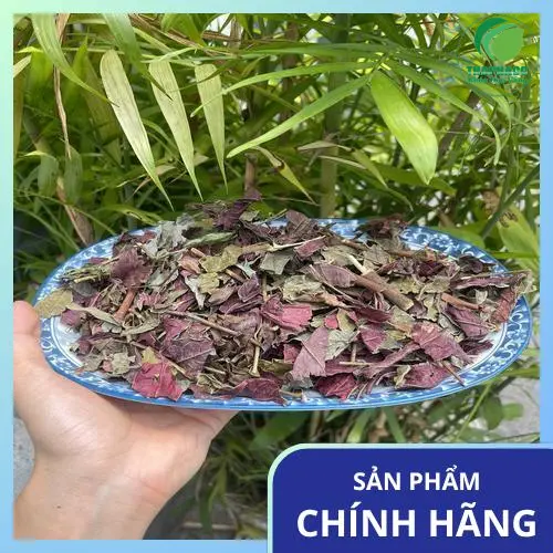 Thảo dược hữu cơ đơn lá đỏ đã đóng gói sẵn
