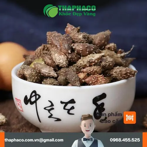 Ké đầu ngựa sấy khô nguyên chất từ Dược Liệu Tấn Phát