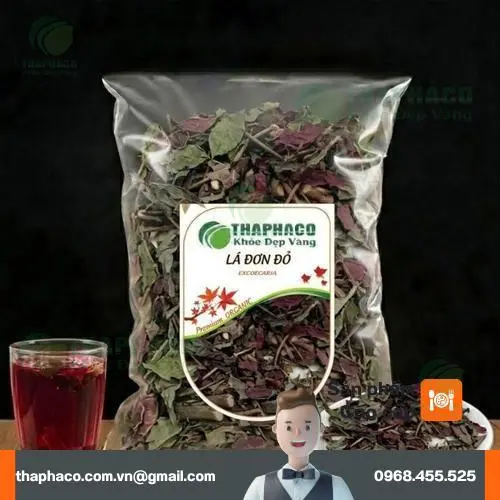 Lá đơn đỏ khô đóng gói cẩn thận tại Dược Liệu Tấn Phát, sẵn sàng phân phối sỉ