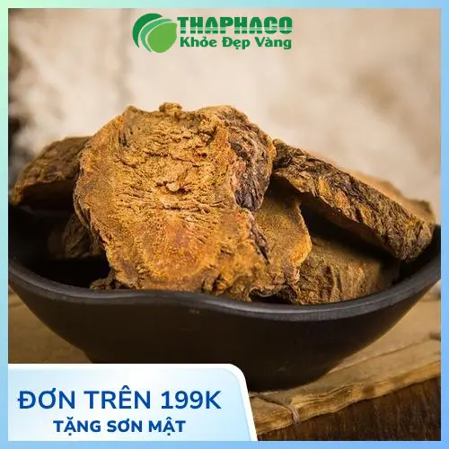 Quy trình sản xuất Đại Hoàng chất lượng tại Dược Liệu Tấn Phát