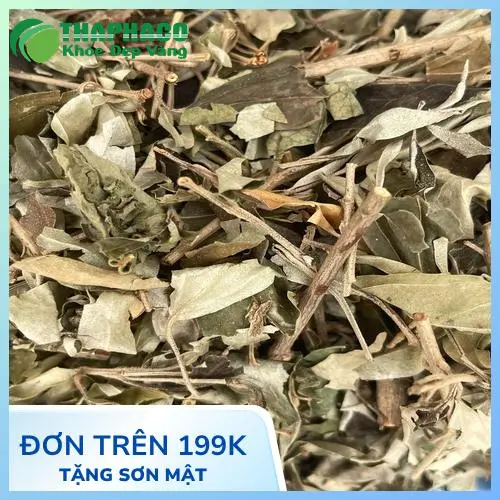 Khổ Sâm chất lượng cao đóng gói tại Dược Liệu Tấn Phát